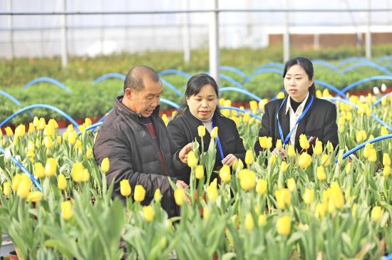 节后上班第一天党员大棚讲政策