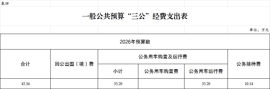 4.一般公共预算“三公”经费支出表.png