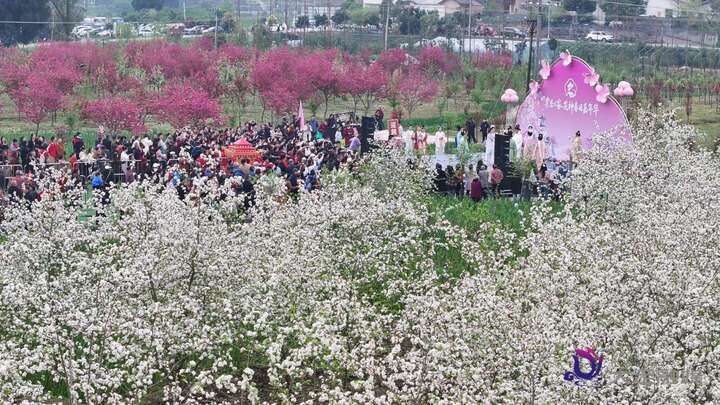 2026大足棠香人家花神节启幕