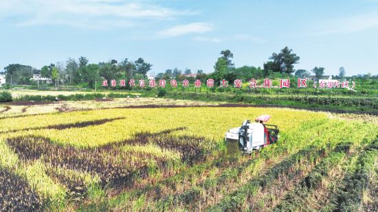 为农服务“一条龙”稳产增收好“丰”景