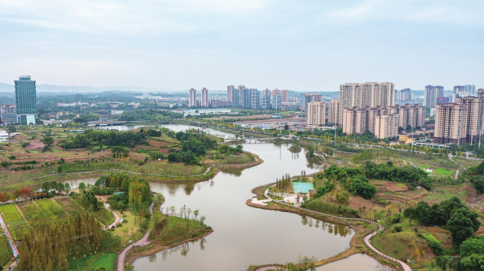 龙景湖公园与城市建筑相依相伴，彰显森林城市品质