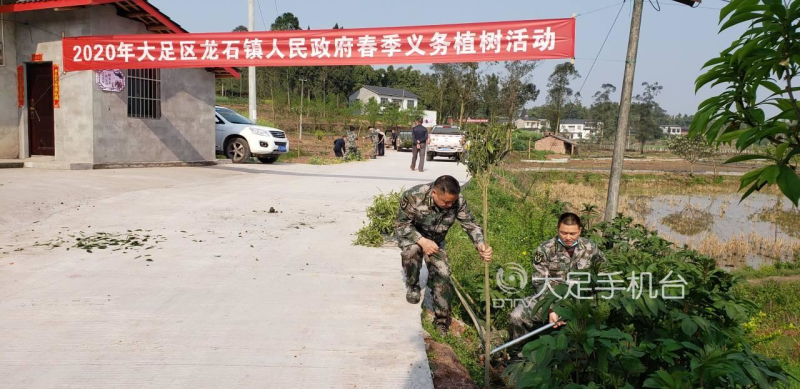 龙石镇:积极开展义务植树 为乡村振兴添新绿