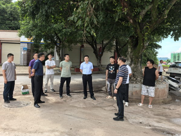 石马镇:坚持“人防+技防+制度防”织就城市安全之网