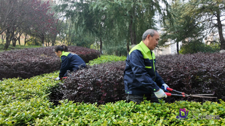 公园冬季养护忙 “换装”蓄力待春归
