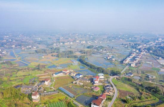 生态种养促增收