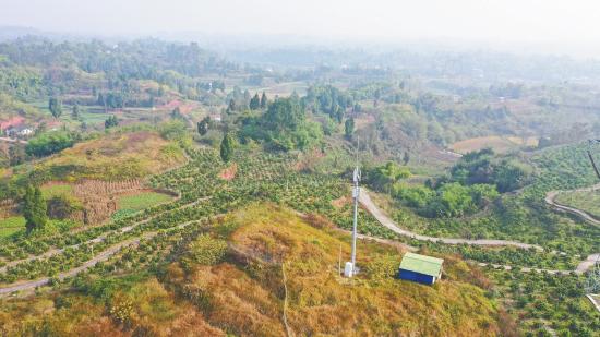 大足行政村5G网络通达率超98%