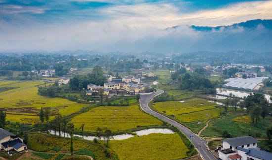 长虹村：追求“长红”产业振兴是抓手