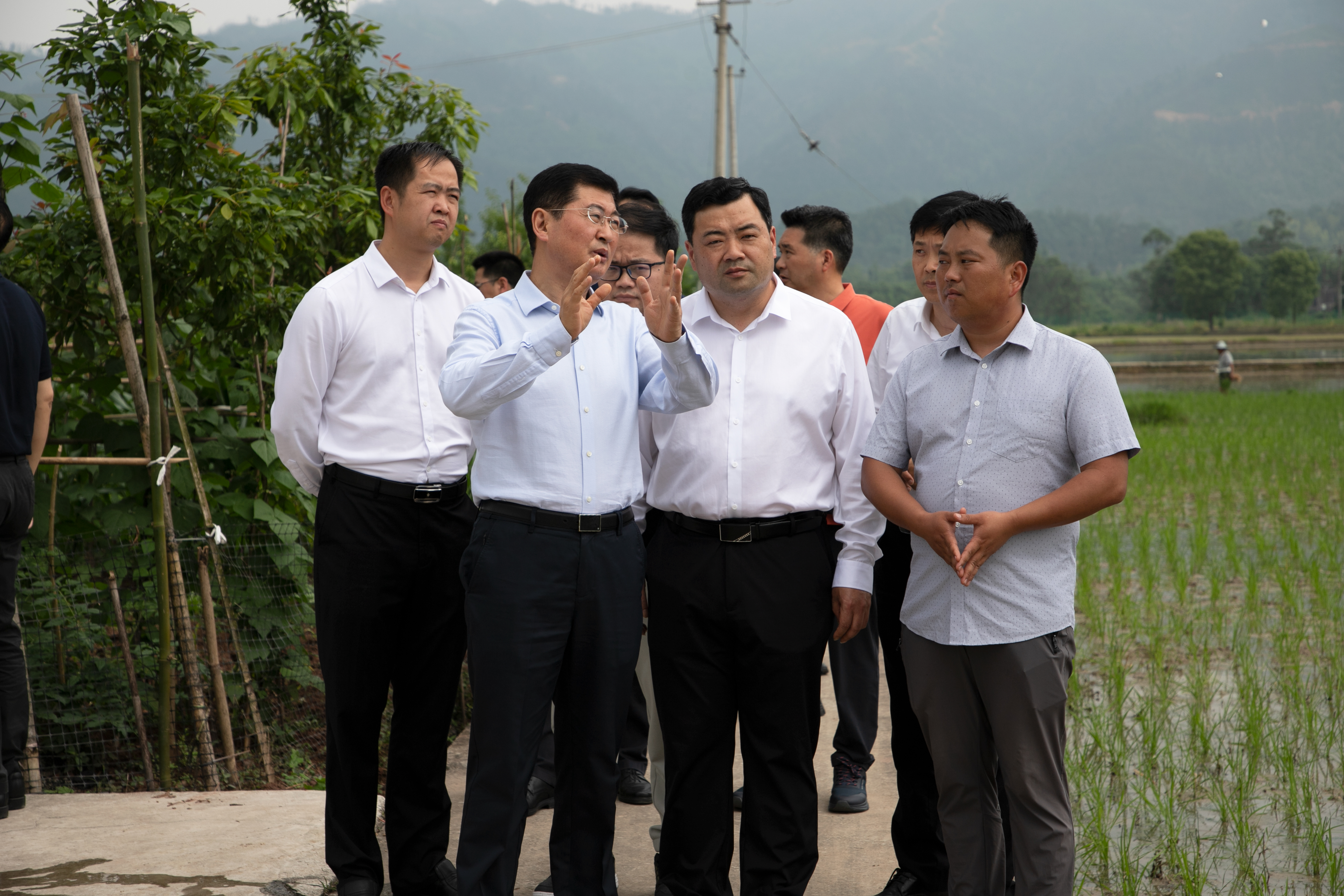 大足区委书记陈一清在拾万镇调研时强调 学好用好"千万工程"经验 打造