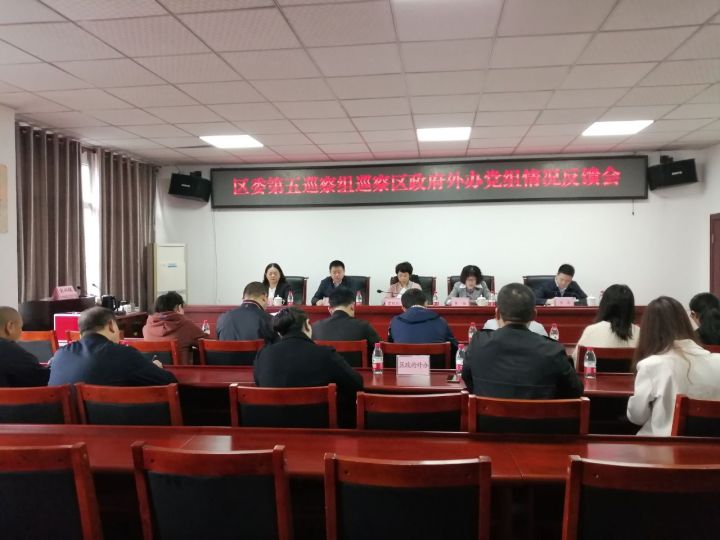 区委第五巡察组向区政府外办党组反馈巡察情况