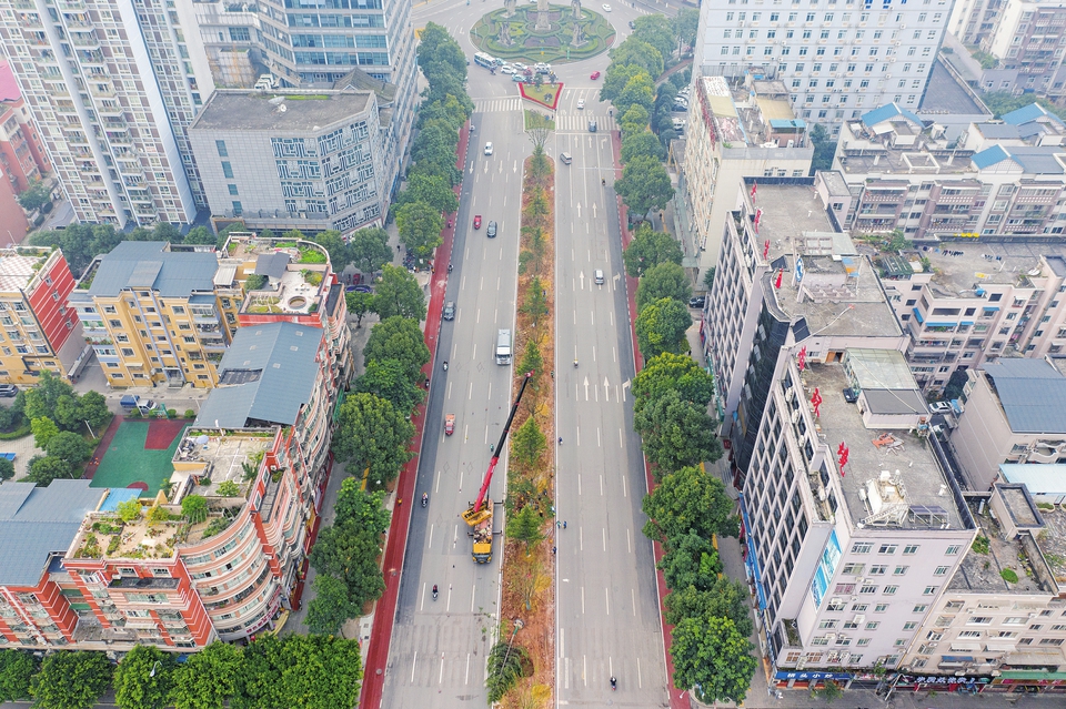 城区道路添新绿
