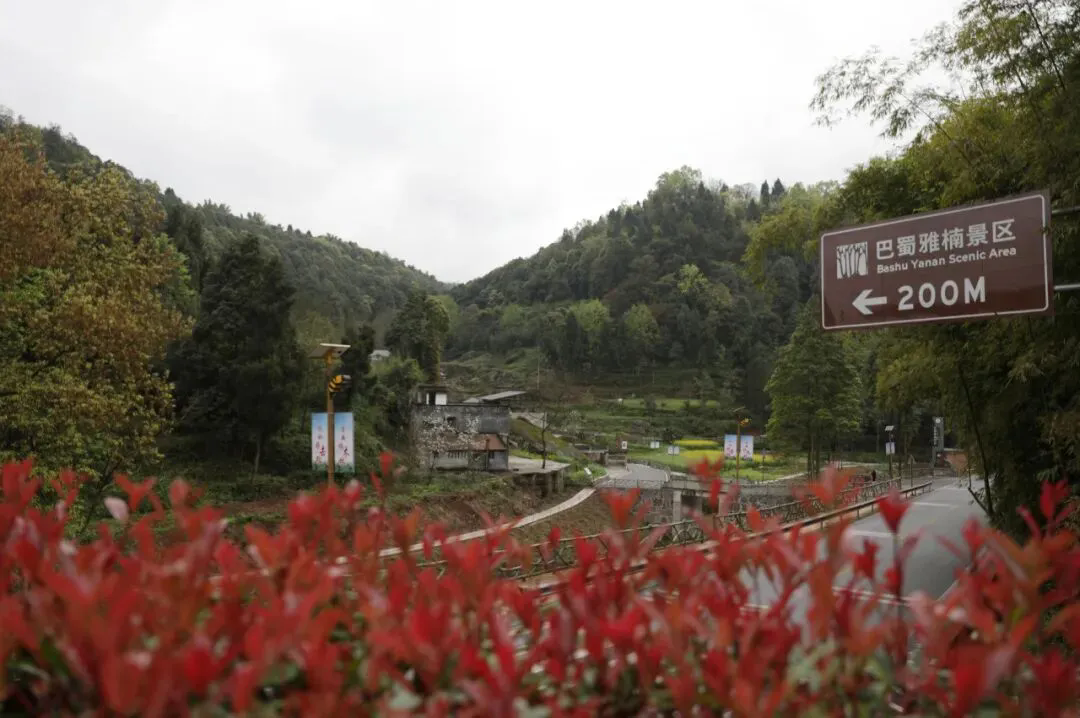 640.webp (1).png
