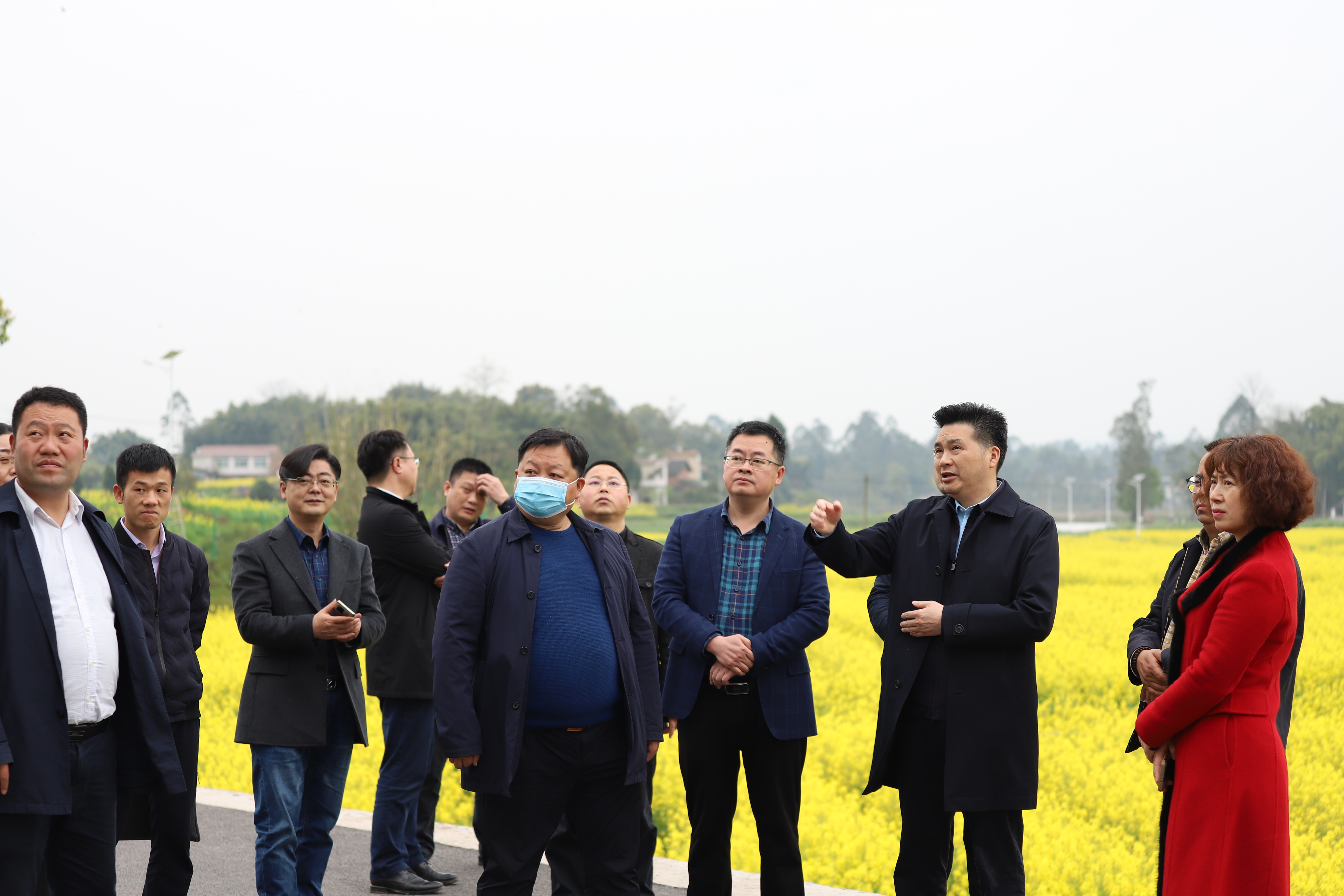 区委副书记罗晓春在拾万镇调研工作