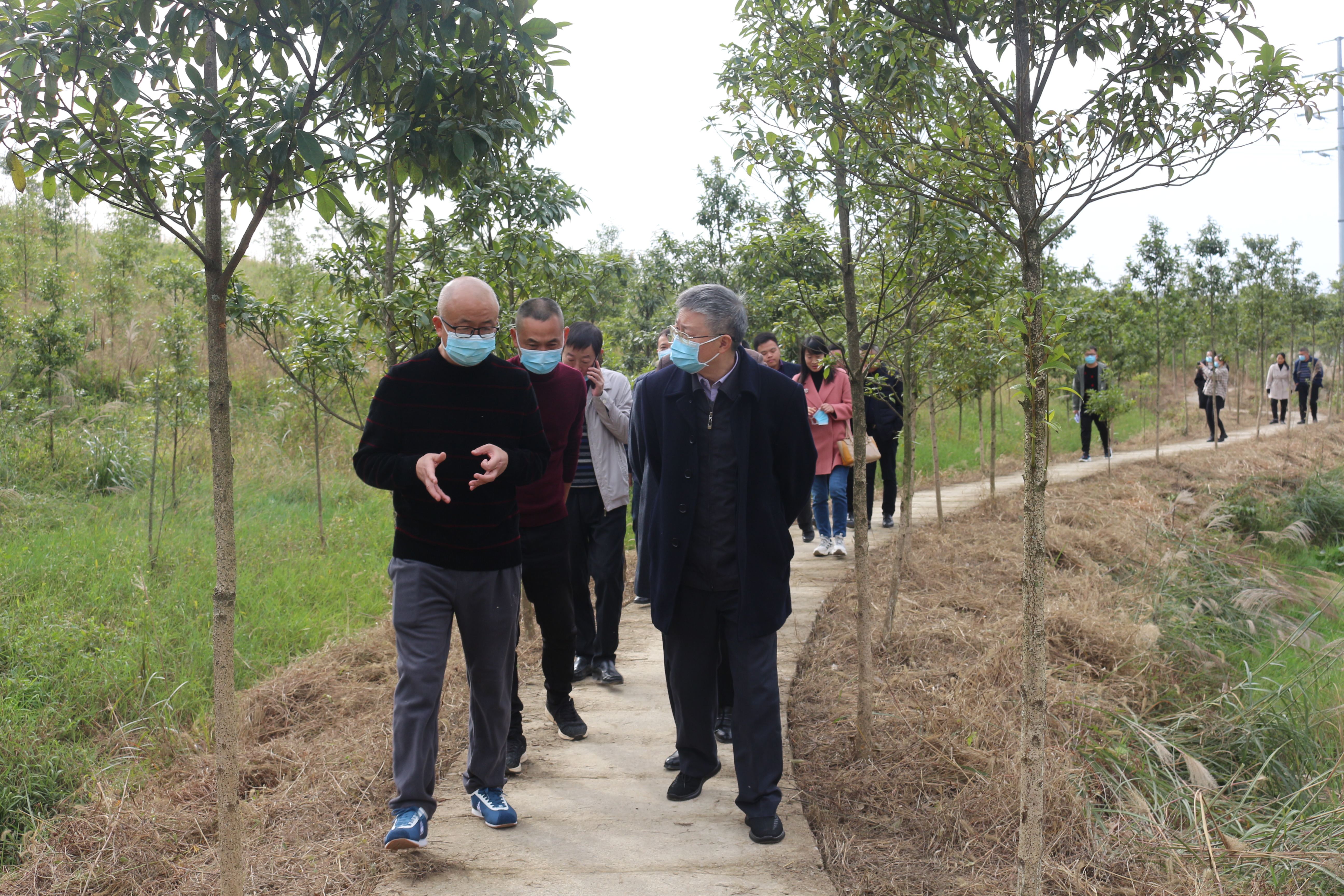 区人大常委会主任张有力调研通桥街道人大换届工作,基层社区治理和