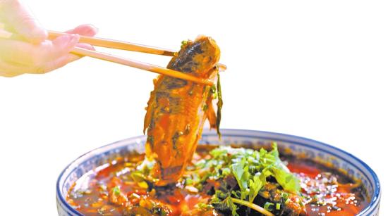 特色化、产业化、品牌化 老字号邮亭鲫鱼“烹”出新味道