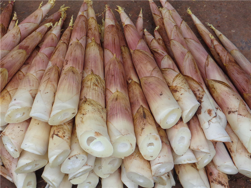 购_重庆市大足区人民政府