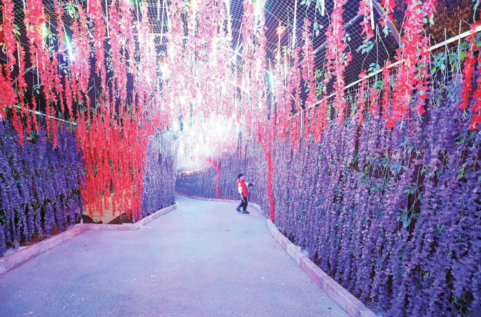 火树银花扮靓乡村夜