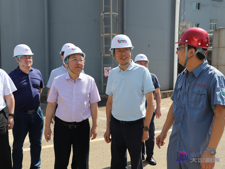 市应急管理局局长宋平到大足调研